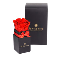 2 x RAW Customer Returns LA VITA VIVA Real rose for Valentine s Day for your loved ones and romantic hours for two - RRP €29.86