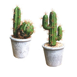 1 x RAW Customer Returns Fycooler Artificial Succulents Faux Cactus-Decorative Faux Succulents Potted Fake Cactus Cacti With Stone and Sand, Artificial Faux Cactus For Bathroom Home Decor DIY House Decoration B Set  - RRP €17.14