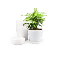 1 x RAW Customer Returns KINGLAKE Pack of 8 14 cm flower pots with hole, small cactus pots, round plastic plant pots, flower pot with saucer for office balcony, white - RRP €18.14