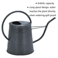 1 x RAW Customer Returns HORTICAN watering can, garden watering can made of galvanized zinc, for indoor and outdoor use, flowers, houseplants, garden tools for irrigation with narrow long nozzle and high handle 1.5 liters  - RRP €25.2