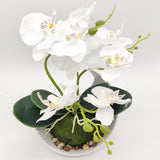 1 x RAW Customer Returns Aisamco 1pc Artificial Orchid Flowers with White Pot Fake Plastic Phalaenopsis Flowers with Pot Artificial Flower for Home Wedding Office Decoration - RRP €17.99