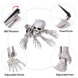 1 x RAW Customer Returns EXCEART Set of 5 Skeleton Bones and Skull Plastic Scary Skeleton for Halloween Decor Props Cemetery Decor Halloween Skeleton with Movable Joints - RRP €21.58