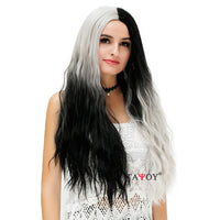 1 x RAW Customer Returns Women s Long Black Silver Gray Wig, ATAYOU Half Black Half Silver Gray Synthetic Wig for Carnival Carnival Holloween Costume Women - RRP €28.22