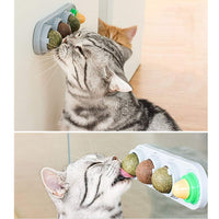 4 x Brand New MMIAOO Catnip Balls 4pcs Cat Snack Lollipop Self-Adhensive Wand Teeth Cleaning Mint Ball Chew Set Toy Gray  - RRP €81.6