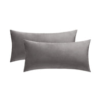 1 x RAW Customer Returns MIULEE set of 2 velvet cushion covers, pillowcase 40 x 80 cm, cushion cover, decorative pillows, bed pillowcase, velvet cushion, couch cushion cover, covers for sofa, bed, living room, bedroom, grey - RRP €24.08