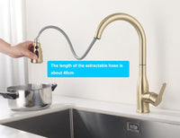 1 x RAW Customer Returns ONECE kitchen faucet matt gold, kitchen faucet extendable with shower, kitchen sink faucet with 360 rotation, single-lever mixer tap for kitchen - RRP €59.99