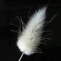 1 x RAW Customer Returns 120 x Dried Lagurus Pampas Grass Pampas Decoration Dried Flowers Dried Flower Bouquet Natural Flower Decoration Grasses for Wedding Interior Decoration Bedroom Living Room White  - RRP €12.1