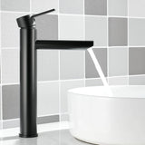 1 x RAW Customer Returns Maynosi bathroom faucet, tall wash basin faucet, single-lever wash basin mixer with 50cm hoses, hot and cold faucet for bathroom sink, modern style faucet, stainless steel matte black  - RRP €51.41