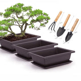 1 x RAW Customer Returns MissFox Set of 6 Plastic Plant Pots with Saucer, Large Rectangular Bonsai Pot with Garden Tools, Indoor and Outdoor Garden Flower Pots, 16x12x6cm - RRP €22.9