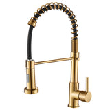 1 x RAW Customer Returns Kitchen faucet with pull-out sprayer, spring faucet kitchen with pull down sprayer shower, 360 swivel hot and cold water sink faucets matte gold  - RRP €63.99