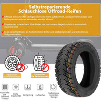 1 x RAW Customer Returns VOLOHAS 10x3 255x80 Tubeless Off-Road Tires for Kugoo M4 M4 pro Kaabo Wolf Warrior Kaabo Mantis 10 Daltron Zero 10 - RRP €76.33