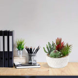 1 x RAW Customer Returns Briful artificial plant succulents artificial houseplant succulent arrangement decorative table decoration living room succulent in cement pot for bathroom desk sideboard height 16cm - RRP €22.18