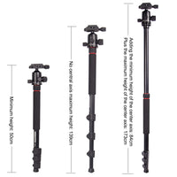 1 x RAW Customer Returns CAMBOFOTO Professional Portable Tripod 169cm Monopod 173cm, 4 Sections with 3 8 Interchangeable 360 Degree Ball Head, Aluminum Tripod with 1 4 Quick Release Plate for Nikon Canon DSLR - RRP €59.99