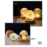 1 x RAW Customer Returns MARZIUS Flower Crystal Ball Night Light, 6cm Glass Ball Night Lamp with Wooden Base Decorations Gifts for Men Women Kids Boys Girls Teens Red Daisy  - RRP €29.99