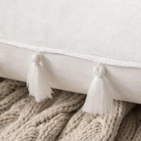 1 x RAW Customer Returns MIULEE Set of 2 Velvet Cushion Covers Tassel Cushion Cover Decorative Sofa Cushions Tassel Throw Pillows Decorative Boho Pillows Cushion Covers Couch Cushions Hidden Zipper for Sofa 50 x 50 cm Pure White - RRP €20.41