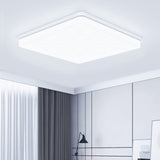 2 x RAW Customer Returns Philonext ceiling light flat LED ceiling lamp 48W, 6500K 5000LM LED ceiling lighting ceiling lamp panel, cold white LED lamps, ceiling lamp for living room bedroom kitchen balcony office hallway - RRP €78.04