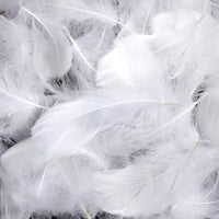 1 x RAW Customer Returns Totofy 600 Goose Feathers, Goose Feathers, White Feather, for Home Decoration, Costumes Hats, Weddings and DIY Projects. 6 - RRP €11.62