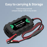 1 x RAW Customer Returns 12V LiFePO4 lithium battery charger, RoyPow 3A drip charger with crocodile clip and ring clamp - RRP €36.99