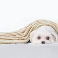 1 x RAW Customer Returns MIULEE Dog Blanket 100x160 cm Cuddly Blanket Dogs Soft Blankets Cats Fleece Blanket Washable Sleeping Pad Suitable for Dogs, Cats, Guinea Pigs and Other Animals Beige - RRP €18.14