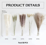 4 x Brand New Rmeet Dried Pampas Grass Decor, 50 PCS Large Dried Flowers Bouquet White Pampas Grass Sweet Artificial Dried Flowers Fluffy and Soft Pampas for Cake Decorations Flowers Decorative - RRP €81.6