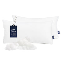 2 x RAW Customer Returns Fabsy pillow 60x60 filling Luxurious soft cooling pillow - bed pillow - pillow insert 60x60 - pillow filling 60x60 - allergy pillow - pillow 60x60 - large pillow - RRP €55.94