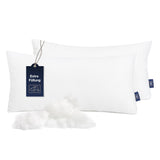 2 x RAW Customer Returns Fabsy pillow 60x60 filling Luxurious soft cooling pillow - bed pillow - pillow insert 60x60 - pillow filling 60x60 - allergy pillow - pillow 60x60 - large pillow - RRP €55.94