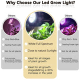 1 x RAW Customer Returns MILYN 100W 2-Pack LED Plant Lamp E27 White Full Spectrum Grow Light for Fast, Healthy Plant Growth Ideal for Garden, Greenhouse, Houseplants, Seedlings, Vegetables Flowers - RRP €46.99