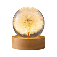 1 x RAW Customer Returns Night Light, Crystal Ball, 6cm Glass Ball Lamp with Wooden Base, LED Light Base, USB Charging Flower Sample Night Lamp with Stand Dandelion  - RRP €24.79