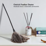 1 x RAW Customer Returns 41cm 16 small ostrich, killer duster, thick soft feathers, durable ergonomic wooden handle, easy and efficient dusting - RRP €21.98