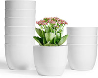 1 x RAW Customer Returns T4U 12cm plant pots for houseplants 10 pieces, plastic flower pot small set ideal for indoor and outdoor, white plant pot for orchids, basil and herbs, small flower pots for all houseplants - RRP €29.99