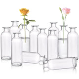 1 x RAW Customer Returns Peohud Set of 12 glass vases, 16 cm high bud vase flower vases, clear small flower vases, decorative glass bottles flower vases for home decor, wedding reception, party - RRP €23.18