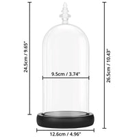 1 x RAW Customer Returns BELLE VOUS Glass Urn with Black Wooden Base 26.5 cm Glass Dome Clear Glass Lantern for Fairy Lights, Centerpieces and Antiques - RRP €29.06