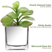 1 x RAW Customer Returns 3PCS Succulents Artificial Plant Decorative Plant in Glass Pot Decorative Mini Succulents Houseplant for Bathroom Balcony Bedroom Living Room Desk Decoration - RRP €20.16