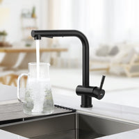 1 x RAW Customer Returns Auralum kitchen faucet black, high pressure kitchen faucet with pull-out shower, sink faucet with two water jet types, mixer tap for kitchen 360 rotatable, kitchen faucet stainless steel - RRP €50.81