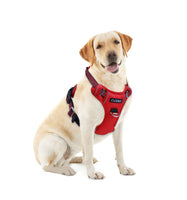 7 x Brand New CuXBZ Dog Harness Large Dogs, Anti Pull Dog Harness, Harness Dog for Puppies Medium Large Dogs, Dog Harness Adjustable Safety Harness Reflective Chest Harness Dog Red L - RRP €132.93