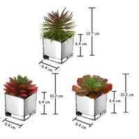 1 x RAW Customer Returns 3PCS Succulents Artificial Plant Decorative Plant in Glass Pot Decorative Mini Succulents Houseplant for Bathroom Balcony Bedroom Living Room Desk Decoration - RRP €29.7