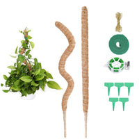 1 x RAW Customer Returns HXC-BLG 2 Pack 125 cm Moss Stick Plant Stick Monstera Climbing Aid Flexible Moss Stick Monstera Stick Plant Stick Monstera for Climbing Plants Plant Name Planting Time Plant Support - RRP €12.1