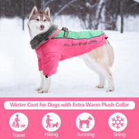 1 x Brand New Dog Coat with Fleece Collar Waterproof Jackets Pet Winter Warm Clothes Dog Jacket Outdoor Sports Reflective Dog Windproof Adjustable Dog Outfit Vest Dog Clothes 2XL, Blue  - RRP €20.4