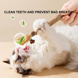 17 x Brand New Cat Molar Stick, Cat Teeth Care Sticks, Wooden Catnip Sticks, 6 Pieces Chewing Sticks for Cats, Catnip Toy, for Dental Care Practice for Cats, Butyeak - RRP €306.0