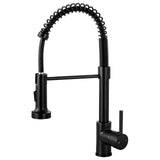 1 x RAW Customer Returns AKLFGN kitchen faucet black, high arch spring kitchen faucet with pull-out shower, kitchen faucet with 360 swivel two spray functions, kitchen sink faucet, stainless steel, AKL-CFLT-2011B - RRP €48.4