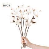 2 x RAW Customer Returns Larber 10 Pieces Cotton Stems Decoration Artificial Farmhouse Cotton Flowers Rustic Style Floral Picks Rustic Cotton Vase Filler for Flower Decoration Stem,42cm - RRP €25.96