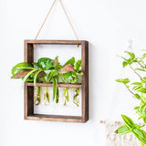 5 x Brand New Erpmlyo Wall Mounted Hanging Plants Test Tube Flower Bud Glass Terrarium Wooden Frame for Home Garden Wedding Decoration - RRP €102.0