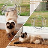 1 x RAW Customer Returns Glass Cat Flap Swing Door for Cats and Dogs Large Glass Cat Flap with 4 Locking Options Transparent Round  - RRP €25.91