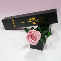 1 x RAW Customer Returns Yamonic Infinity Rose Pink with Stem Birthday Gift for Women, Real Rose Gifts for Women Eternal Rose in Gift Box, Preserved Flower for Valentine s Day, Decorative Gift, Gifts for Mom - RRP €23.99