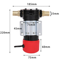 1 x RAW Customer Returns KATSU Diesel Transfer Pump, 175Watt 12V DC Self-Priming, Portable, Heating Oil for Tractors Caravans Construction Machinery 482113 - RRP €45.0