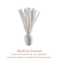 2 x RAW Customer Returns Tranquil Beauty Pampas Grass for Vases - Dried Pampas Grass Decoration with Boho Chic Touch for Living Room and Bedroom - Handpicked Naturally Dried - No Care Required - RRP €30.24