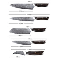 1 x RAW Customer Returns TURWHO kitchen knife set of 5, high-quality professional sharp Japanese chef s knife VG10 Damascus steel chef s knife Santoku knife bread knife all-purpose knife fruit knife ergonomic handle made of ebony - RRP €130.08