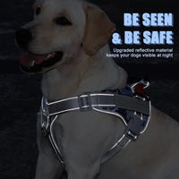 1 x RAW Customer Returns Dricar Dog Harness, Reflective Soft Padded Dog Harness, Anti Pull Harness Dog with Control, Air Mesh Breathable Chest Harness for Small Medium Large Dogs S  - RRP €21.06