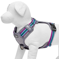 1 x Brand New Blueberry Pet Dog Collar Multicolored Geometric Squares Polyester Fabric Strap and Soft Genuine Leather, Small Size S , Neck Circumference 30cm-38cm, Adjustable Collars for Dogs - RRP €16.8