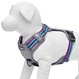 1 x Brand New Blueberry Pet Dog Collar Multicolored Geometric Squares Polyester Fabric Strap and Soft Genuine Leather, Small Size S , Neck Circumference 30cm-38cm, Adjustable Collars for Dogs - RRP €16.8